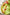 ESTOUBLON - Koroneiki - extra virgin olive oil - organic